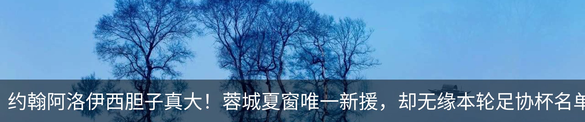 内页banner
